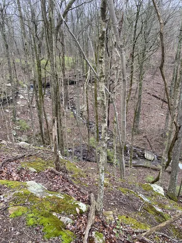 Best Hard Trails in Monte Sano - EyJidWNrZXQiOiJhc3NldHMuYWxsdHJhaWxzLmNvbSIsImtleSI6InVwbG9hZHMvcGhvdG8vaW1hZ2UvNzE3NTEyODQvMDcxNWZmY2E3ZWU2YWU3ZTkxNmFmNWRjMzRhZTM5MmQuanBnIiwiZWRpdHMiOnsidG9Gb3JtYXQiOiJ3ZWJwIiwicmVzaXplIjp7IndpZHRoIjo1MDAsImhlaWdodCI6NTAwLCJmaXQiOiJpbnNpZGUifSwicm90YXRlIjpudWxsLCJqcGVnIjp7InRyZWxsaXNRdWFudGlzYXRpb24iOnRydWUsIm92ZXJzaG9vdERlcmluZ2luZyI6dHJ1ZSwib3B0aW1pc2VTY2FucyI6dHJ1ZSwicXVhbnRpc2F0aW9uVGFibGUiOjN9fX0=