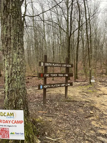 Best Hard Trails in Monte Sano - EyJidWNrZXQiOiJhc3NldHMuYWxsdHJhaWxzLmNvbSIsImtleSI6InVwbG9hZHMvcGhvdG8vaW1hZ2UvNzE3NTEyOTYvMDA0NDhhMmFmNjRhNWVkMTg4YzllNTczY2UyNjFjZGUuanBnIiwiZWRpdHMiOnsidG9Gb3JtYXQiOiJ3ZWJwIiwicmVzaXplIjp7IndpZHRoIjo1MDAsImhlaWdodCI6NTAwLCJmaXQiOiJpbnNpZGUifSwicm90YXRlIjpudWxsLCJqcGVnIjp7InRyZWxsaXNRdWFudGlzYXRpb24iOnRydWUsIm92ZXJzaG9vdERlcmluZ2luZyI6dHJ1ZSwib3B0aW1pc2VTY2FucyI6dHJ1ZSwicXVhbnRpc2F0aW9uVGFibGUiOjN9fX0=