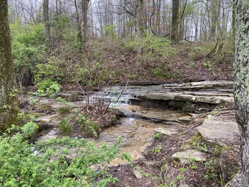 Best Hard Trails in Monte Sano - EyJidWNrZXQiOiJhc3NldHMuYWxsdHJhaWxzLmNvbSIsImtleSI6InVwbG9hZHMvcGhvdG8vaW1hZ2UvNzE3NTEzMDkvOWE2YjljZjIxMzE2YTlkNmQ3N2EyMDljNzkxNjcwYzYuanBnIiwiZWRpdHMiOnsidG9Gb3JtYXQiOiJ3ZWJwIiwicmVzaXplIjp7IndpZHRoIjo1MDAsImhlaWdodCI6NTAwLCJmaXQiOiJpbnNpZGUifSwicm90YXRlIjpudWxsLCJqcGVnIjp7InRyZWxsaXNRdWFudGlzYXRpb24iOnRydWUsIm92ZXJzaG9vdERlcmluZ2luZyI6dHJ1ZSwib3B0aW1pc2VTY2FucyI6dHJ1ZSwicXVhbnRpc2F0aW9uVGFibGUiOjN9fX0=