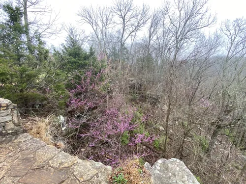 Best Hard Trails in Monte Sano - EyJidWNrZXQiOiJhc3NldHMuYWxsdHJhaWxzLmNvbSIsImtleSI6InVwbG9hZHMvcGhvdG8vaW1hZ2UvNzE3NTEzNDEvYjYzZTQ5ZGQ5YWU1ZTI3OGJjZWU4ZmEyYzM3MzM1NGMuanBnIiwiZWRpdHMiOnsidG9Gb3JtYXQiOiJ3ZWJwIiwicmVzaXplIjp7IndpZHRoIjo1MDAsImhlaWdodCI6NTAwLCJmaXQiOiJpbnNpZGUifSwicm90YXRlIjpudWxsLCJqcGVnIjp7InRyZWxsaXNRdWFudGlzYXRpb24iOnRydWUsIm92ZXJzaG9vdERlcmluZ2luZyI6dHJ1ZSwib3B0aW1pc2VTY2FucyI6dHJ1ZSwicXVhbnRpc2F0aW9uVGFibGUiOjN9fX0=