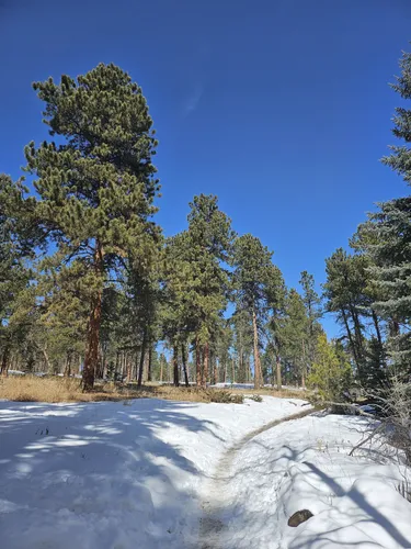 Best Trail Running Trails in Flying J Ranch Park | AllTrails