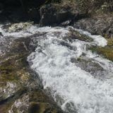 Codfish Falls Trail, California - 405 Reviews, Map | AllTrails
