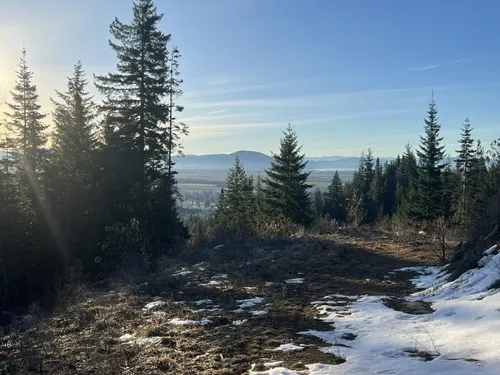 Best Hikes and Trails in Lower Rathdrum Mountain Park | AllTrails