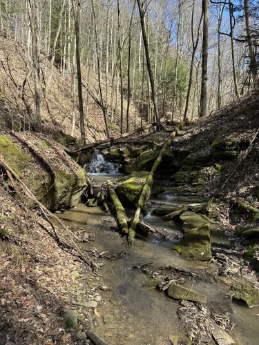 Best Hikes and Trails in Sheepskin Hollow State Nature Preserve | AllTrails