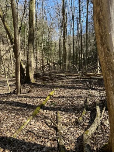 Best Hikes and Trails in Sheepskin Hollow State Nature Preserve | AllTrails