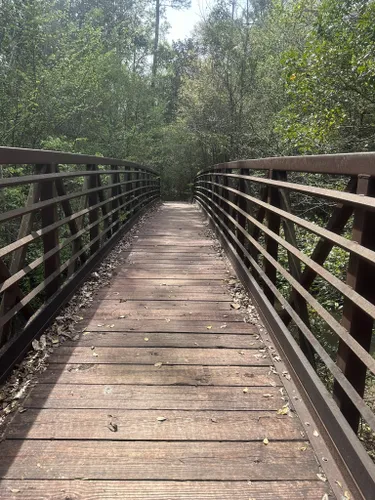 Best Wildlife Trails in De Soto National Forest | AllTrails