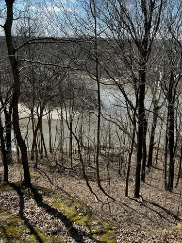 Best Hikes and Trails in Fox Ridge State Park | AllTrails