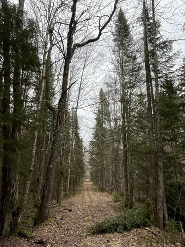 Best Waterfall Trails in Otter Lake | AllTrails