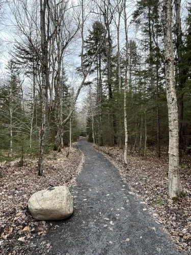 Best Waterfall Trails in Otter Lake | AllTrails