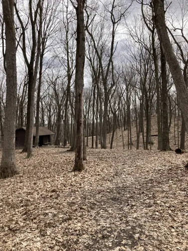 Best Dogs On Leash Trails in Kettle Moraine State Forest Lapham Peak Unit AllTrails