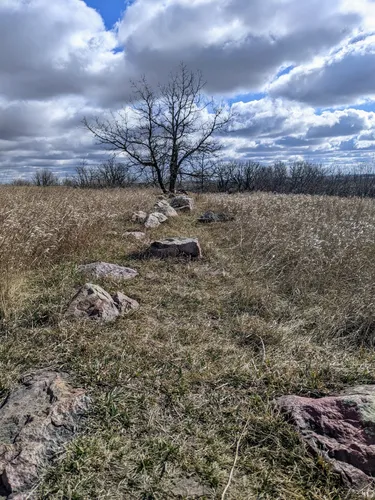 Best Wheelchair Friendly Trails - EyJidWNrZXQiOiJhc3NldHMuYWxsdHJhaWxzLmNvbSIsImtleSI6InVwbG9hZHMvcGhvdG8vaW1hZ2UvNzE3ODMzNTAvY2Y0ZDdlN2JkY2Q4NjBhMDI3NmYzNjc2Zjk0MjMxMTMuanBnIiwiZWRpdHMiOnsidG9Gb3JtYXQiOiJ3ZWJwIiwicmVzaXplIjp7IndpZHRoIjo1MDAsImhlaWdodCI6NTAwLCJmaXQiOiJpbnNpZGUifSwicm90YXRlIjpudWxsLCJqcGVnIjp7InRyZWxsaXNRdWFudGlzYXRpb24iOnRydWUsIm92ZXJzaG9vdERlcmluZ2luZyI6dHJ1ZSwib3B0aW1pc2VTY2FucyI6dHJ1ZSwicXVhbnRpc2F0aW9uVGFibGUiOjN9fX0=