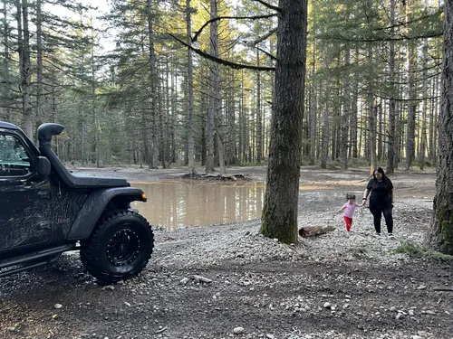 Best Easy Trails in Tahuya State Forest | AllTrails