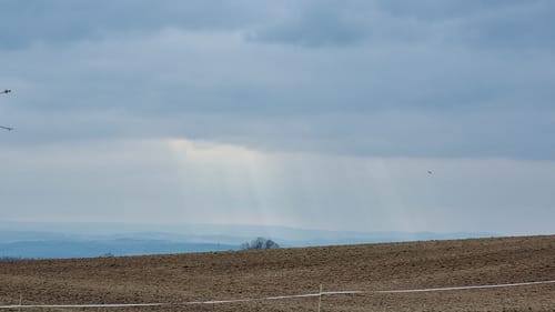 Lieblingstal und Wesenitztal Rundweg über Breiter Stein