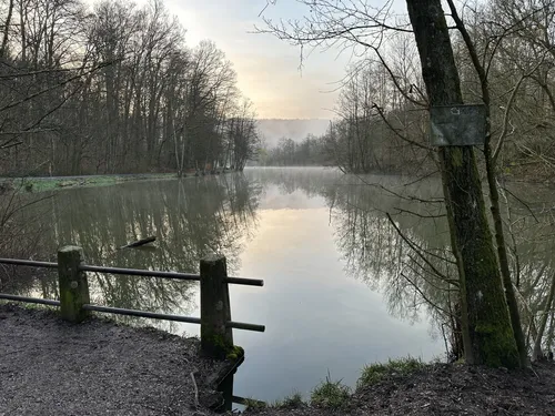 Best Views Trails in Waldschutzgebiet AllTrails