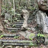 Jawbone Ridge Loop, Okinawa, Japan - 239 Reviews, Map | AllTrails