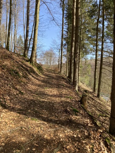 Köhlerpfad Rundweg A1