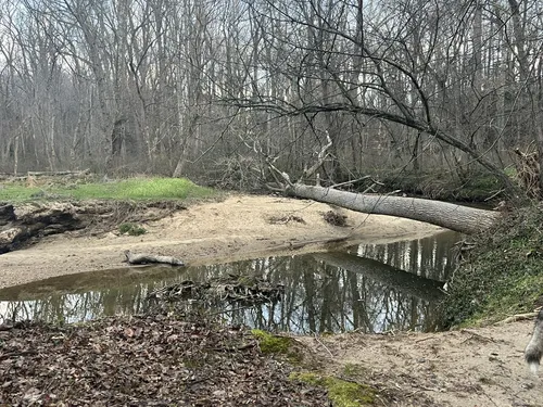 Best Views Trails in Cabin John Regional Park AllTrails