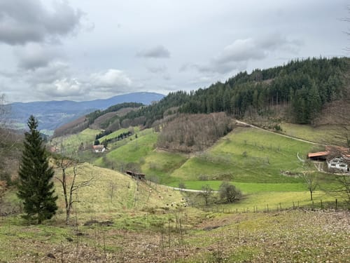Ottenhöfen - Simmersbacher Kopf