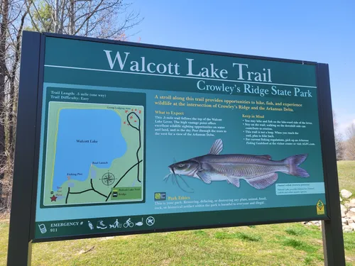 Best Hikes and Trails in Crowley's Ridge State Park | AllTrails