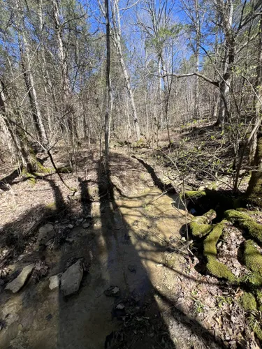 Best Easy Trails in The Parklands of Floyds Fork: Turkey Run Park ...