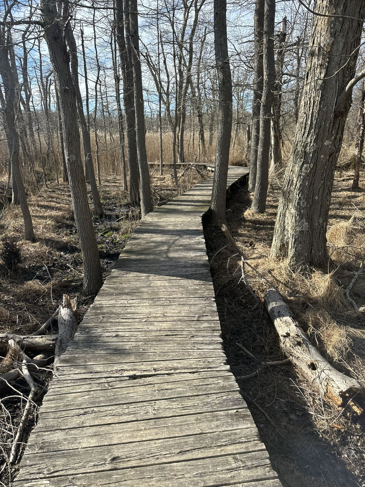 Photos of East Islip, New York trails | AllTrails