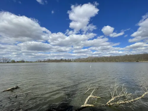 Ohio's Hidden Gem:  Stage's Pond State Nature Preserve - A Nature Lover's Paradise