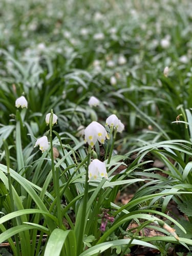 Wald- und Wasserweg