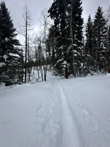 Best Trail Running Trails in Flying J Ranch Park | AllTrails