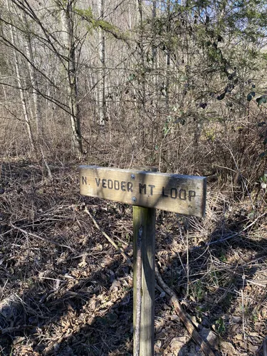 Best Views Trails In Sumas Alltrails