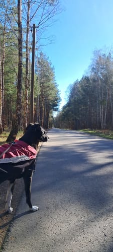 Garzau zum Herrensee