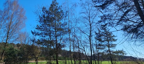 Garzau zum Herrensee