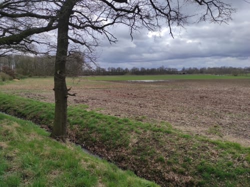 Steverauen bei Olfen
