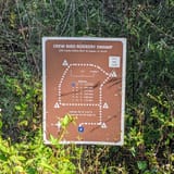 CREW Bird Rookery Swamp [CLOSED], Florida - 517 Reviews, Map | AllTrails