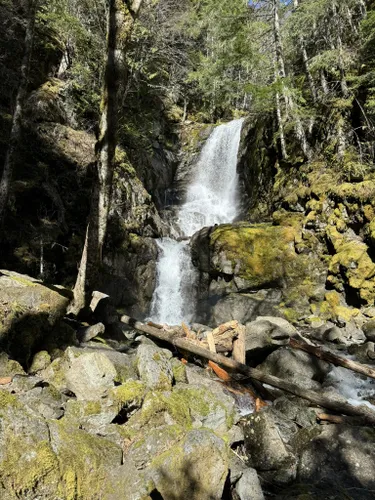 Best Moderate Trails in Sx̱ótsaqel/Chilliwack Lake Provincial Park ...