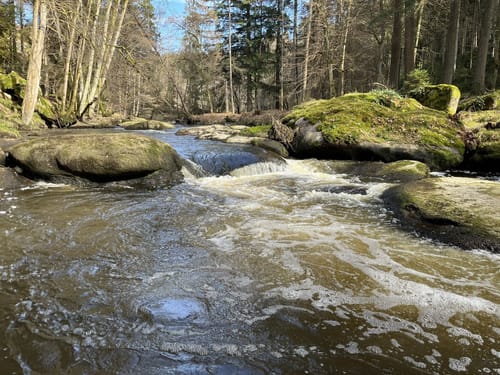 Waldnaabtal Uferpfad