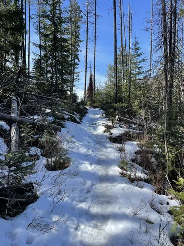 Best Fishing Trails in Bitterroot National Forest | AllTrails