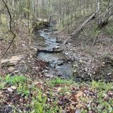 Skyline Trail, Oklahoma - 1,414 Reviews, Map | AllTrails