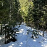 Mount Washington Trail Washington - EyJidWNrZXQiOiJhc3NldHMuYWxsdHJhaWxzLmNvbSIsImtleSI6InVwbG9hZHMvcGhvdG8vaW1hZ2UvNzE4ODI2MzEvYjgwZjk3N2QyYWI4MjE3Y2ZmMzE3MmFkMDMyNzAzNDAuanBnIiwiZWRpdHMiOnsidG9Gb3JtYXQiOiJqcGVnIiwicmVzaXplIjp7IndpZHRoIjoxNjAsImhlaWdodCI6MTYwLCJmaXQiOiJjb3ZlciJ9LCJyb3RhdGUiOm51bGwsImpwZWciOnsidHJlbGxpc1F1YW50aXNhdGlvbiI6dHJ1ZSwib3ZlcnNob290RGVyaW5naW5nIjp0cnVlLCJvcHRpbWlzZVNjYW5zIjp0cnVlLCJxdWFudGlzYXRpb25UYWJsZSI6M319fQ==