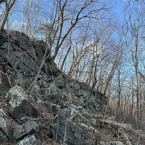 Best Hikes and Trails in Birge Pond The Hoppers Area AllTrails