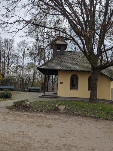 Entlang dem Ranschgraben im Schifferstadter Wald