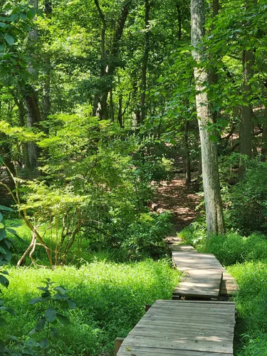 Best forest trails in Cheesequake State Park | AllTrails