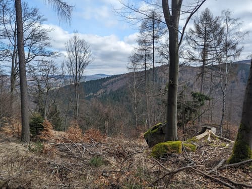 Von Marienberg nach Rübenau