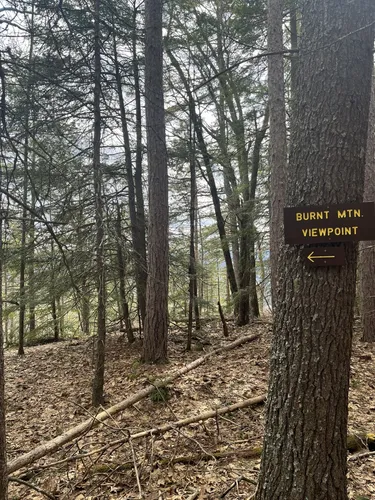 Best Hikes and Trails in Boston Lot Conservation Area | AllTrails
