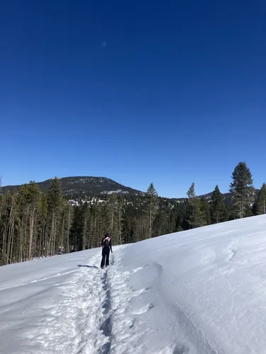 Best Dogs On Leash Trails in Flying J Ranch Park | AllTrails