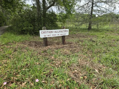 Best Camping Trails in Damon AllTrails