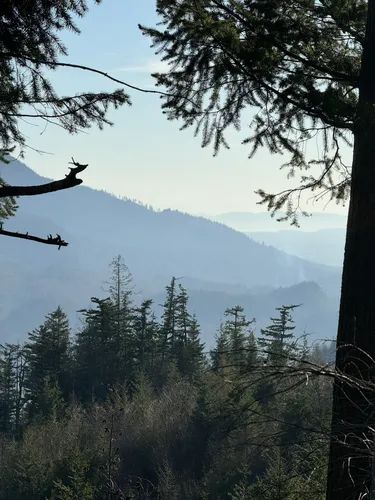 Best Views Trails In Sumas Alltrails