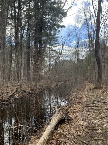 Best Hikes and Trails in Cochituate State Park | AllTrails