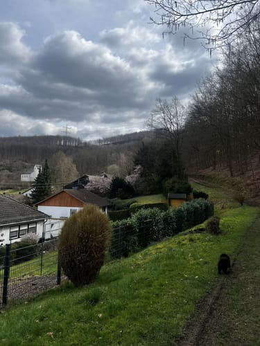 Druidensteig Etappe 1: Kirchen (Sieg) - Herdorf