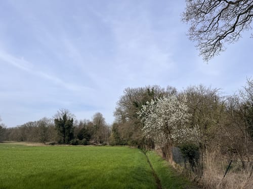 Nettetal Hinsbeck: Krickenbecker Seen (X12-A5-A3)
