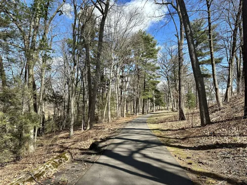 Best Wheelchair Friendly Trails in Center Springs Park | AllTrails